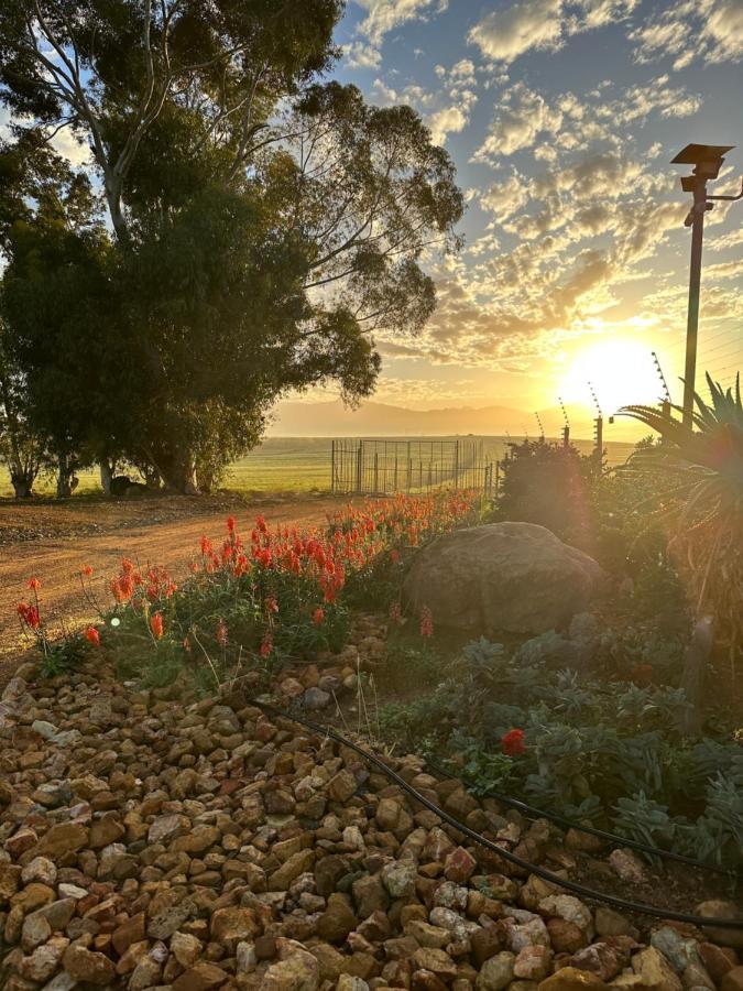 Primo Farm Διαμέρισμα Paarl Εξωτερικό φωτογραφία